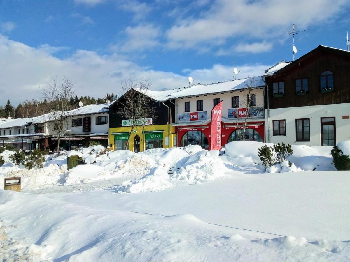 Apartman U Lipna, Pro Cyklisty, Motorkare Frymburk Exterior foto